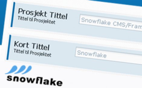The Snowflake UI